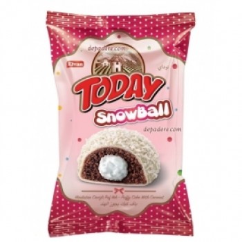 TODAY DONUT SNOWBALL 24X50G