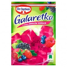 DR.OETKER GALARETKA OWOCE LESNE 25X72G